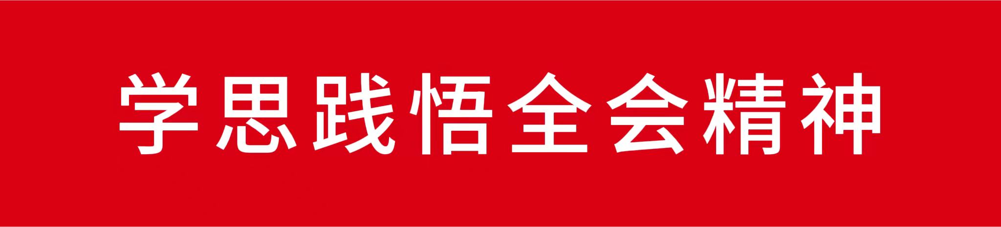 学思践悟全会精神.jpg 学思践悟全会精神.jpg