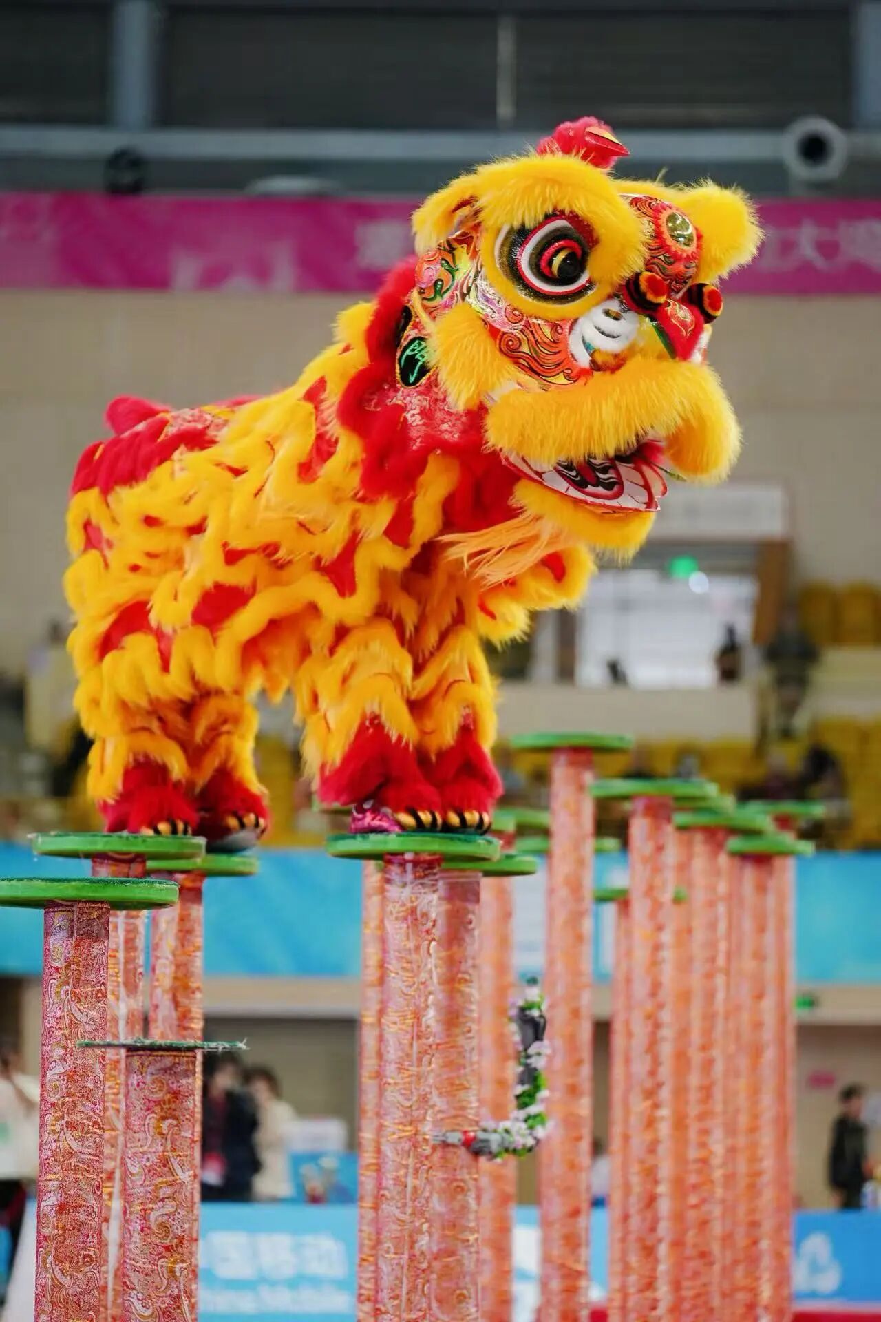 1112-舞龙3.jpg