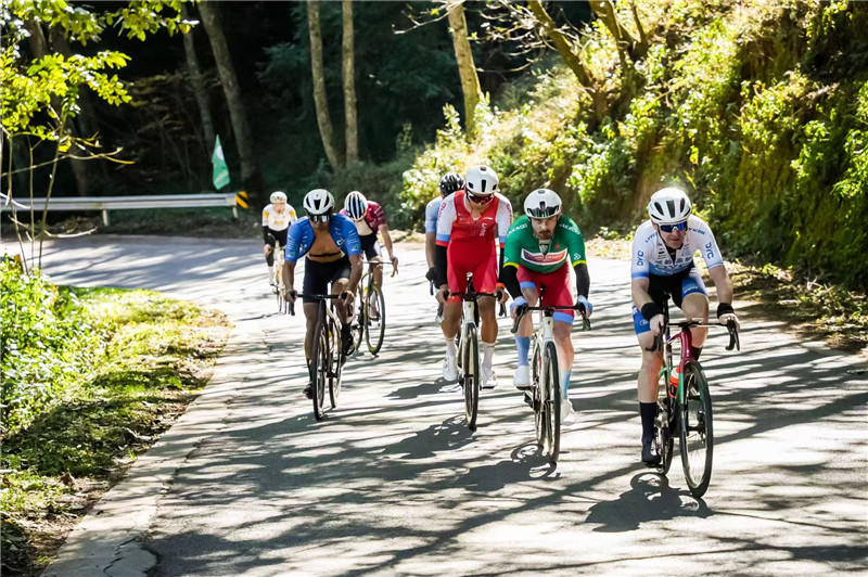 29281857.jpg 29281857.jpg