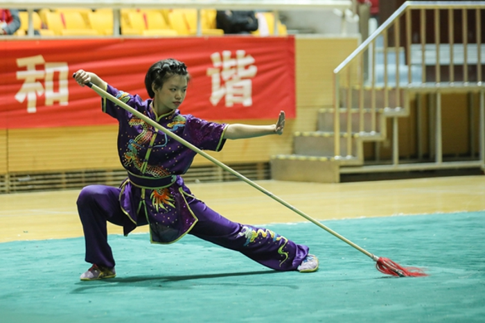 扬少年武魂 展青春风采 北京青少年武术套路锦标赛开赛