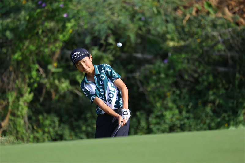 W020251213317452003143.jpg W020251213317452003143.jpg