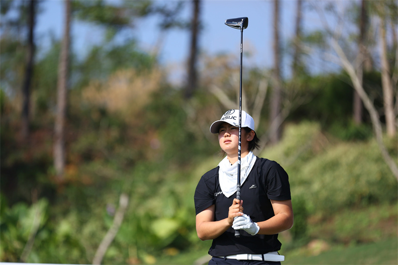 W020251213317452098382.jpg W020251213317452098382.jpg