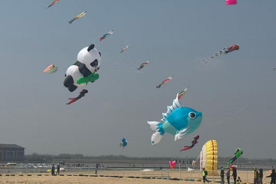 风筝公开赛.jpg