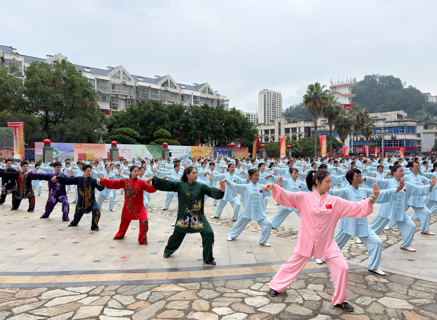 360截图20260519155337719.jpg