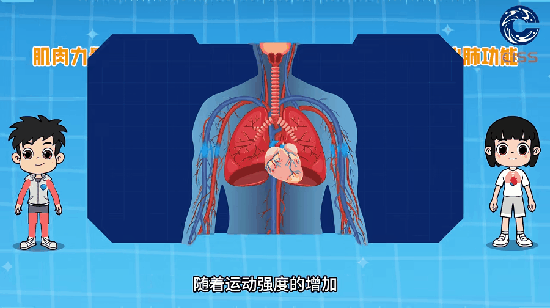 儿童青少年科学健身20条第十一条05.gif