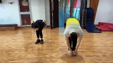 脊柱08.gif
