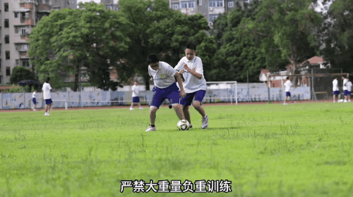 分龄训练科学更高效10.gif
