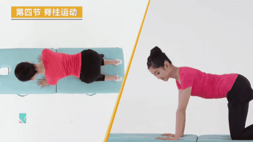 脊柱视力健康操10.gif