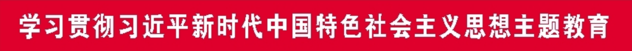 学习贯彻习近平新时代中国特色社会主义思想主题教育.png