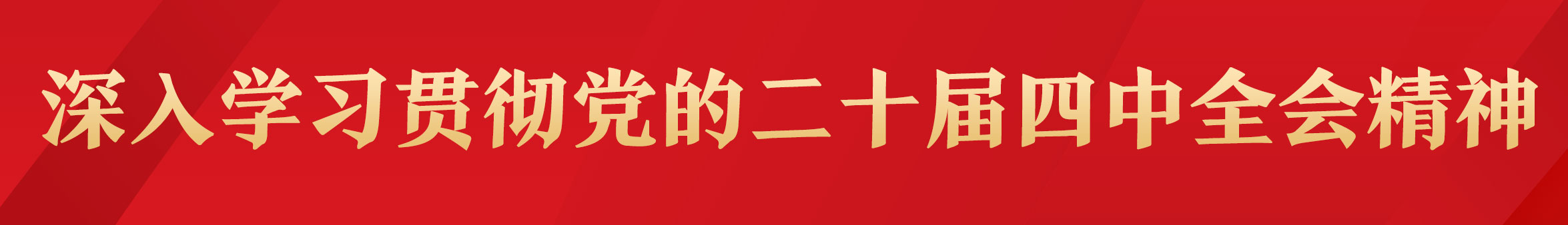 四中全会.jpg