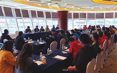 p6_b.jpg