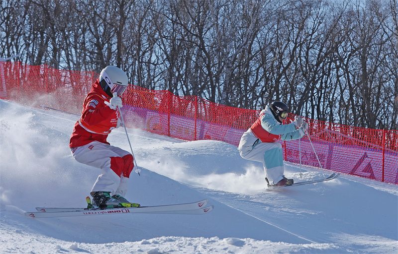 微信图片_20260128072308_2279_76.jpg 微信图片_20260128072308_2279_76.jpg