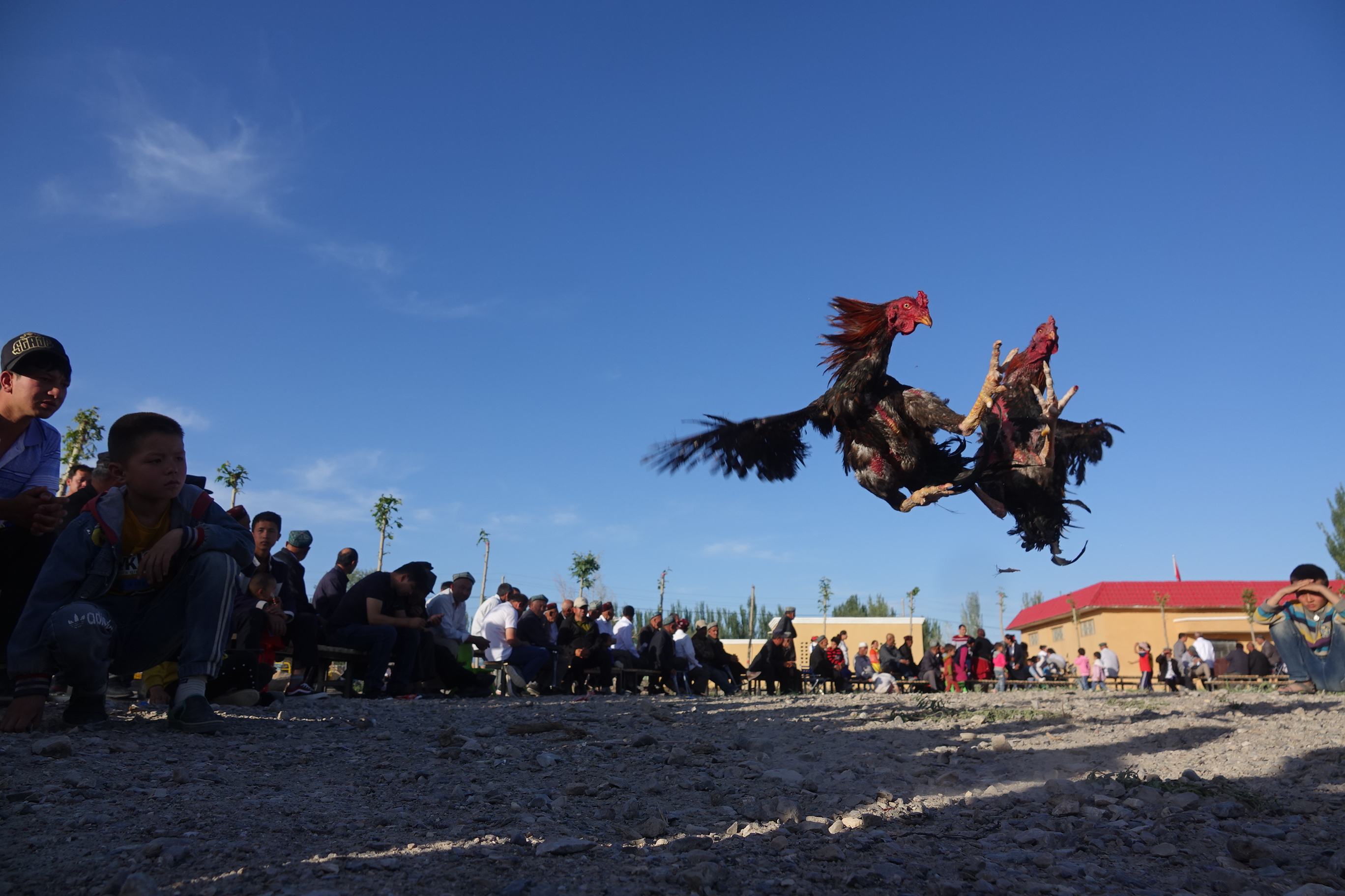 1016-乡村.jpg 1016-乡村.jpg