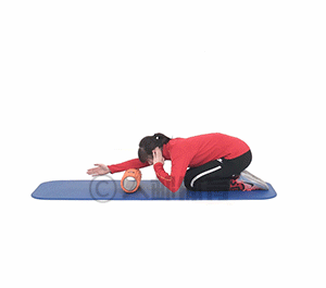 微信图片_20200310095511.gif