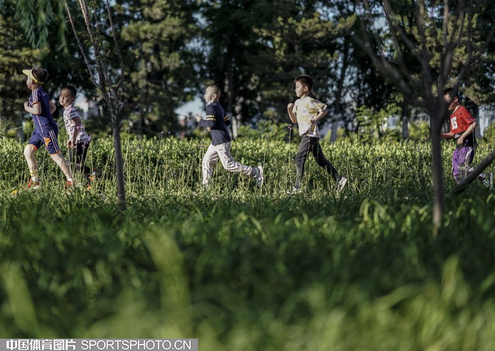 W_10158674_20052420_wz.jpg W_10158674_20052420_wz.jpg