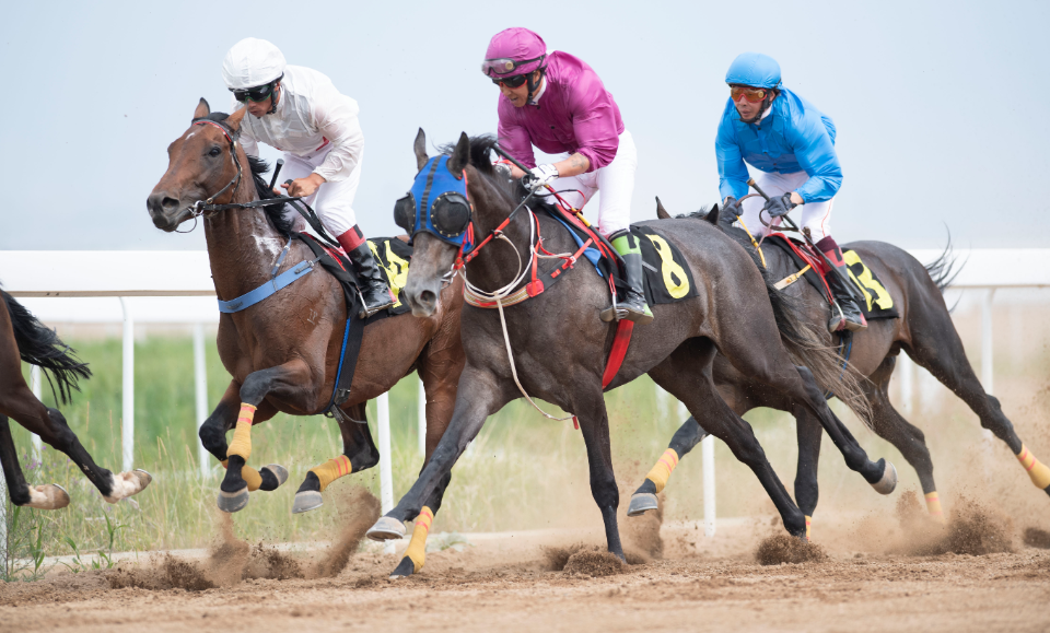 0805-内蒙古.png 0805-内蒙古.png