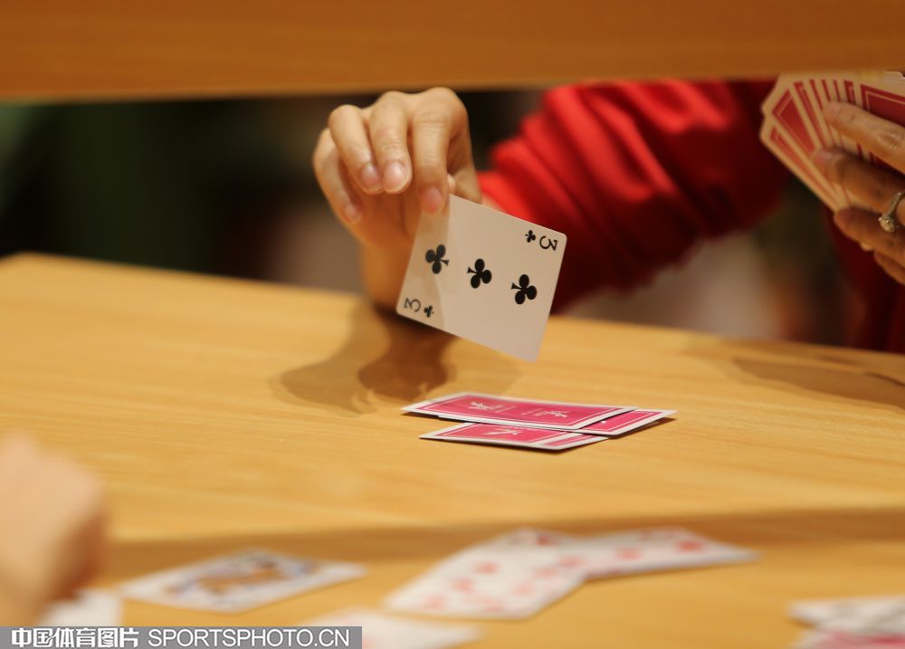 0803-桥牌.jpg