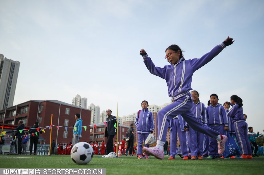 W_25563592_19110119_l.jpg W_25563592_19110119_l.jpg