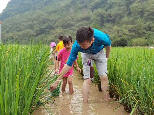 7dd98d1001e9390149692ff5633331e034d196fc.jpeg 7dd98d1001e9390149692ff5633331e034d196fc.jpeg