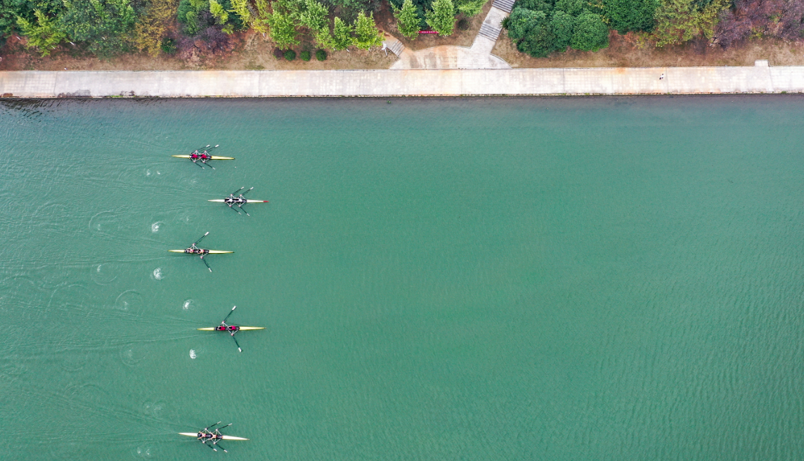 赛艇2.png 赛艇2.png