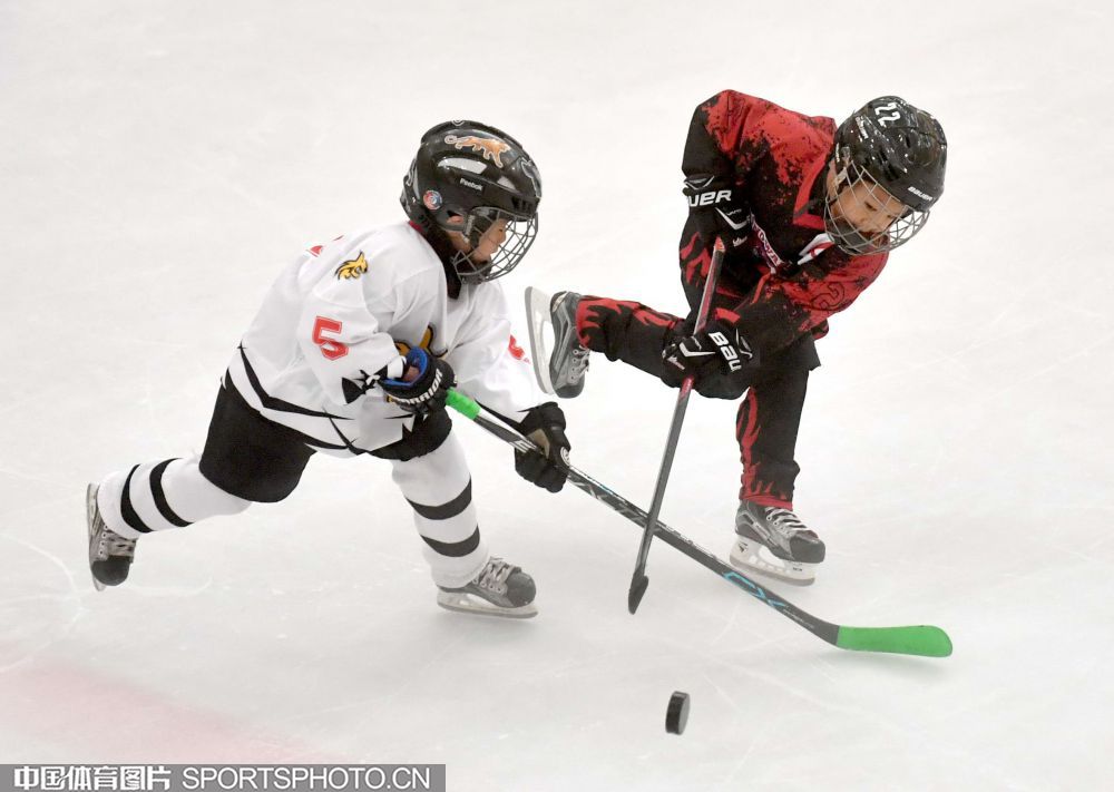 1023-冰球.jpg 1023-冰球.jpg