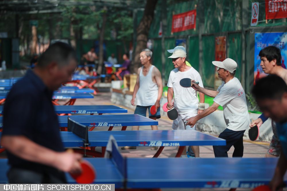 W_36337589_17070812_l.jpg W_36337589_17070812_l.jpg