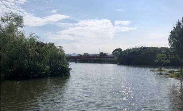 微信截图_20201030075048.jpg 微信截图_20201030075048.jpg