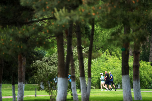 微信截图_20230412075818.png 微信截图_20230412075818.png