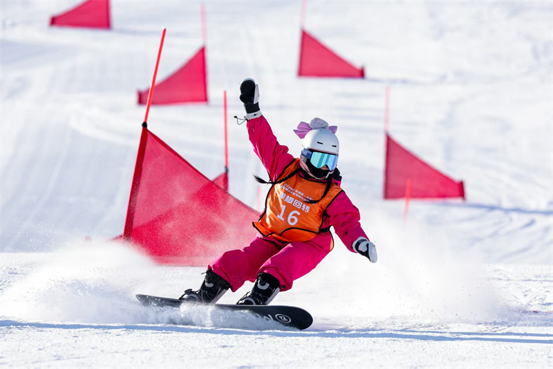 微信图片_20260203084300_31_430.jpg 微信图片_20260203084300_31_430.jpg