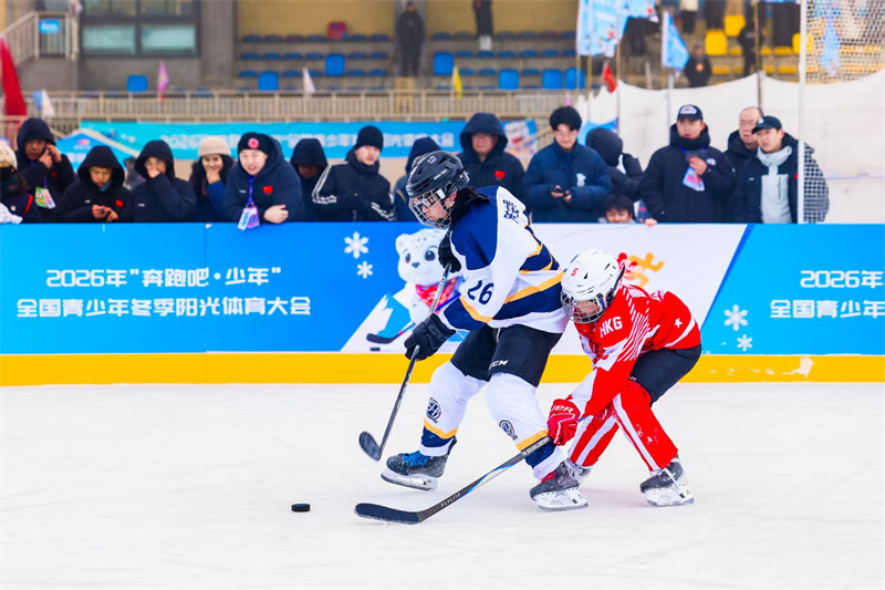 微信图片_20260203084302_32_430.jpg 微信图片_20260203084302_32_430.jpg